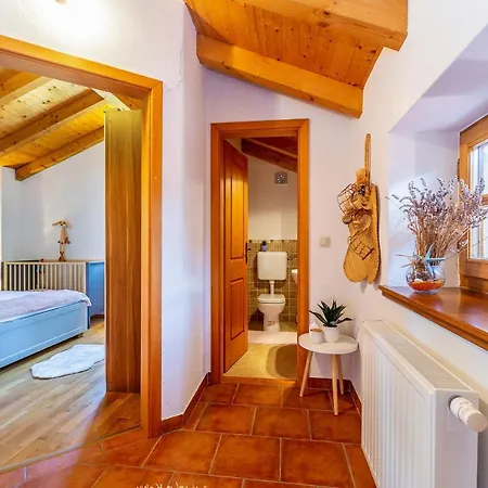 Vakantiehuis House Andrea With Pool Sveti Ivan Dobrinjski